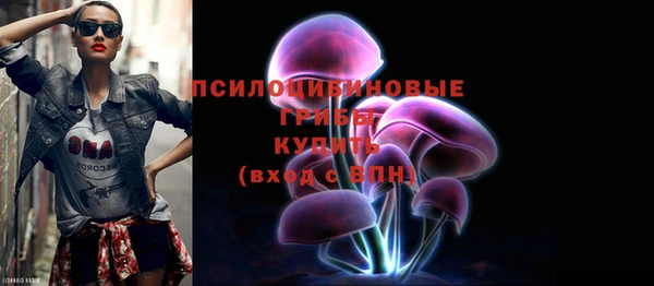сатива Весьегонск