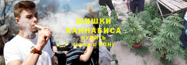 не бодяженный Осташков