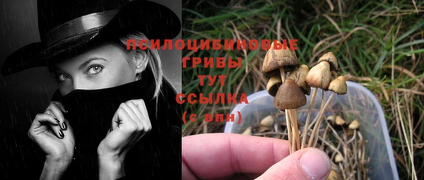 не бодяженный Всеволожск